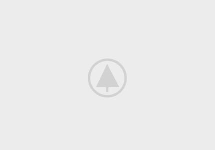 wood-gallery-placeholder wood-gallery-placeholder