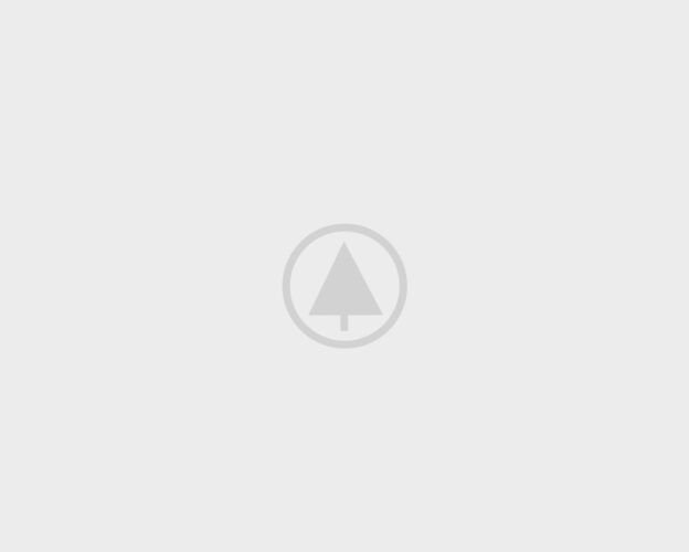 wood-gallery-placeholder wood-gallery-placeholder
