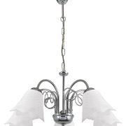 PDT 2041-5 CR # 5/Φ ΣΚΕΛΕΤΟΣ  ΕΛΑΤΗΡΙΟ ΛΕΥΚΟ ΓΥΑΛΙ 5ΧΕ14