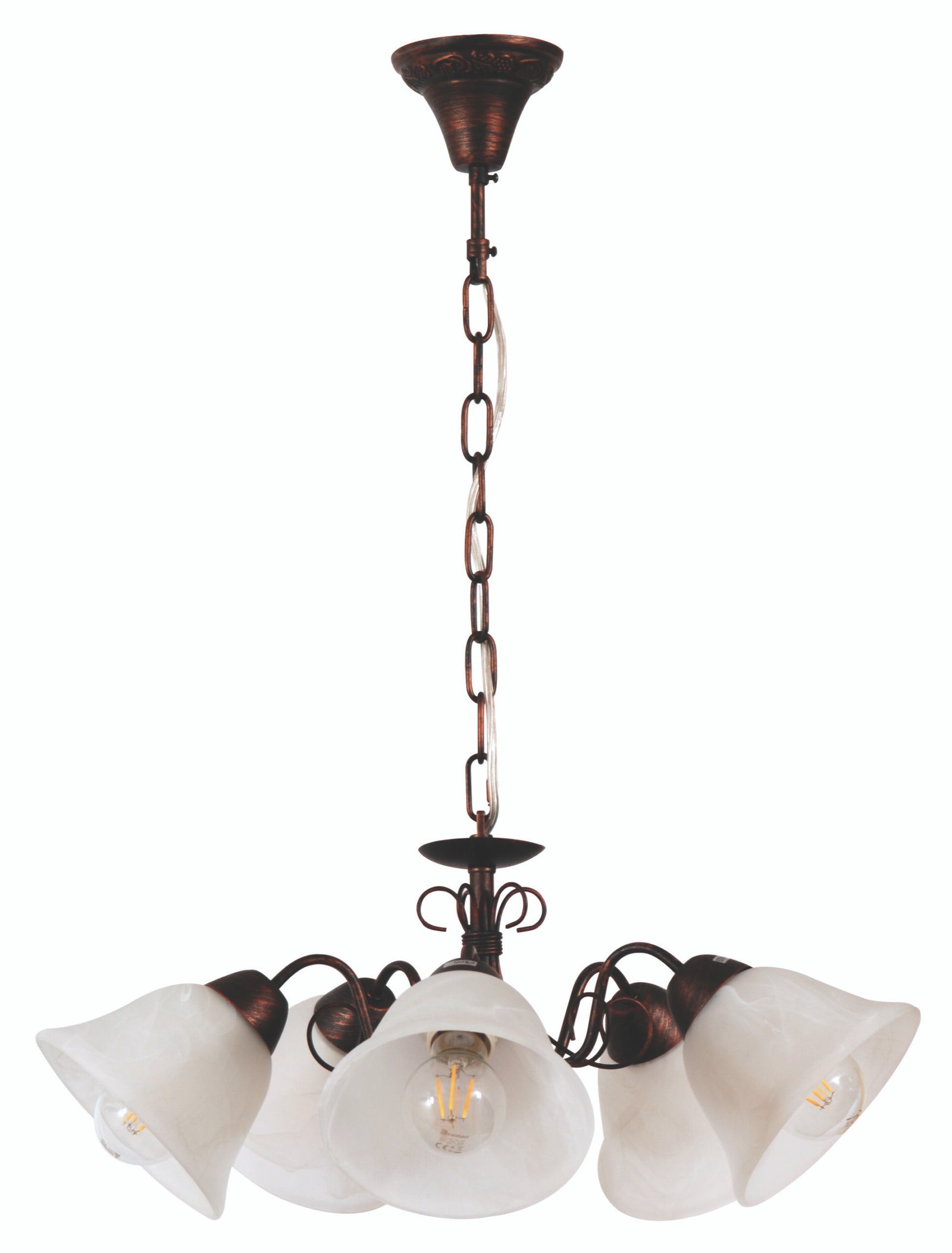 02631a82eb-a498-3685-328f-01867dc2c606-scaled PDC 2261-5 BW# 5/Φ ΚΑΦΕ ΜΕ ΧΑΛΚΟ 1ΧΕ27 - Image 1