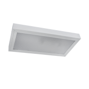 PRISMATIC LED ΦΩΤΙΣΤΙΚΟ 2X9W ΕΞΩΤΕΡΙΚΟ 6400K 608X308mm