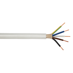 832031 png