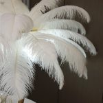 Ostrich Feather Επιτραπέζιο Φωτιστικό με πούπουλο D60 3 jpg