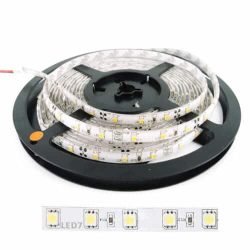 ΛΕΝΤΟΤΑΙΝΙΑ 1 jpg