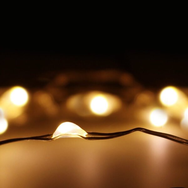 100LED Αδιάβροχα Λαμπάκια μπαταρίας Θερμό Λευκό - Image 2