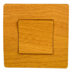 EL BASIC TG101 1 BUTTON 1 WAY SWITCH PEAR-TREE-OLD