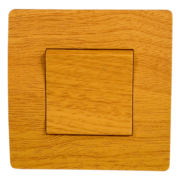 EL BASIC TG101 1 BUTTON 1 WAY SWITCH PEAR-TREE-OLD