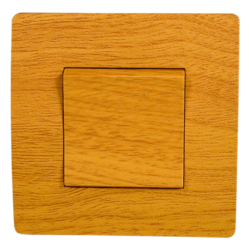 EL BASIC TG101 1 BUTTON 1 WAY SWITCH PEAR-TREE-OLD
