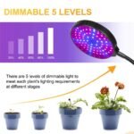 Grow Light LED Ανάπτυξης Φυτών Γλάστρας με 4 Κινούμενες Κεφαλές με Βάση Μανταλάκι - Image 2