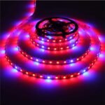 101269 1m Ταινία LED Grow Light Άνθησης & Ανάπτυξης Φυτών 6W/m 12VDC IP65 - Image 3