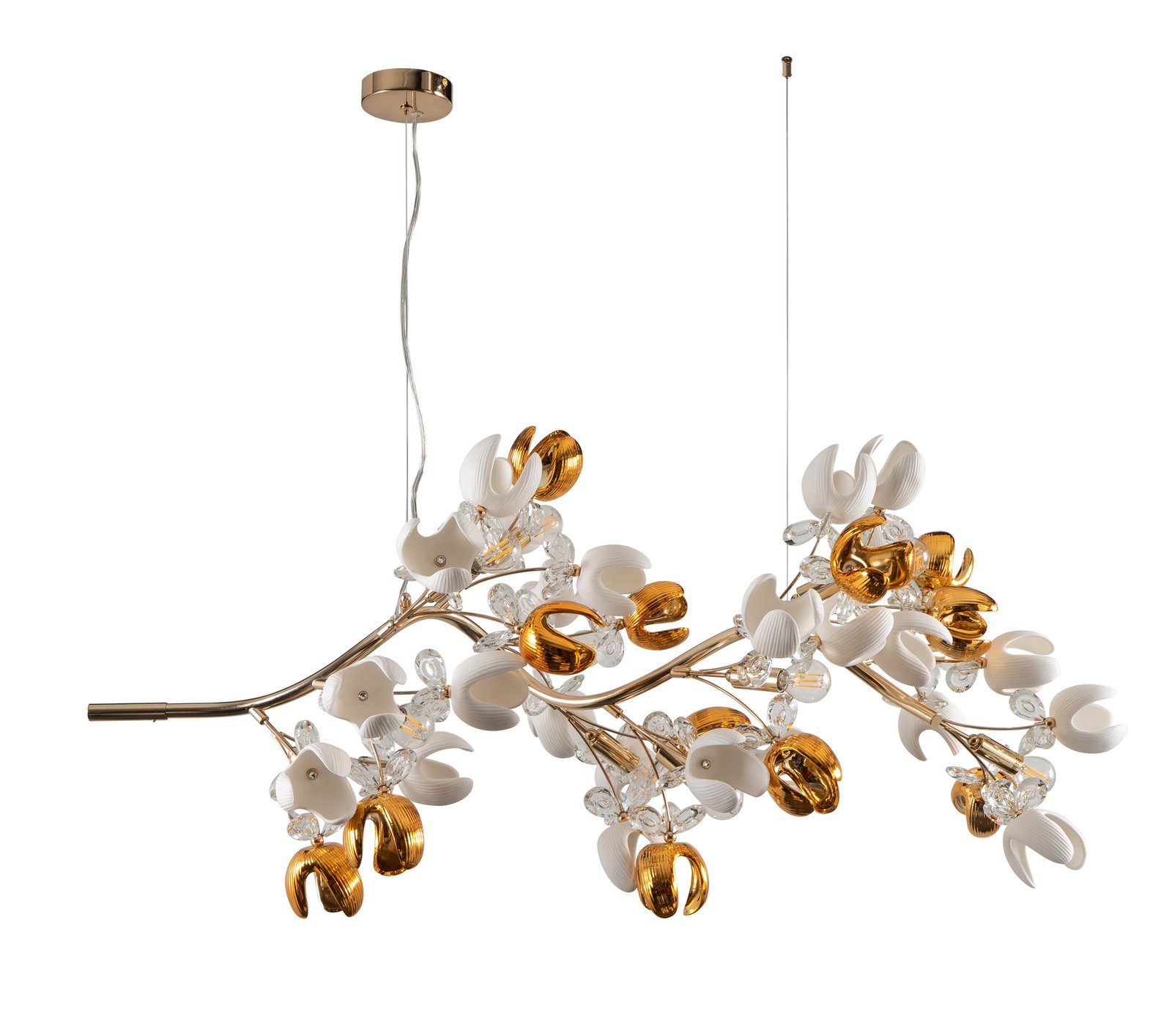 01e2418861-d0f0-873b-cd96-019483909f7a PDC 780-12 ΠΟΛΥΕΛΑΙΟΣ 12/Φ ΚΛΑΔΙ ΜΕ ΧΡΥΣΕΣ ΚΑΙ ΛΕΥΚΕΣ ΤΟΥΛΙΠΕΣ 12ΧΕ14 - Image 1