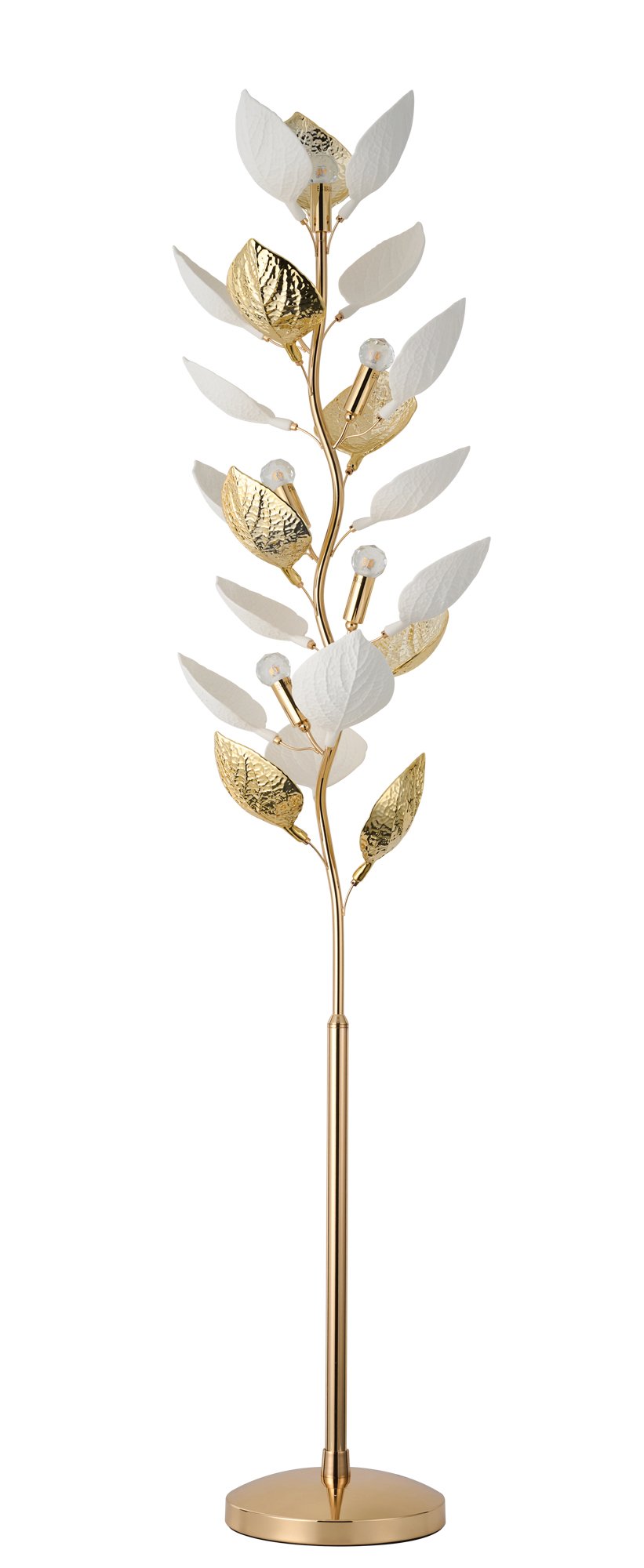 062db8ab54-02f6-6455-4037-0197583f6835 FLC 782 GD ΔΑΠΕΔΟΥ ΜΕ ΦΥΛΛΑ Ε14Χ6 - Image 1