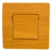 EL BASIC TG101 1 BUTTON 1 WAY SWITCH PEAR-TREE-OLD