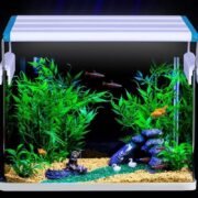 101279 LED Φωτιστικό Ενυδρείου 58cm 24W IP67 6000K