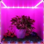 101269 1m Ταινία LED Grow Light Άνθησης & Ανάπτυξης Φυτών 6W/m 12VDC IP65 - Image 3