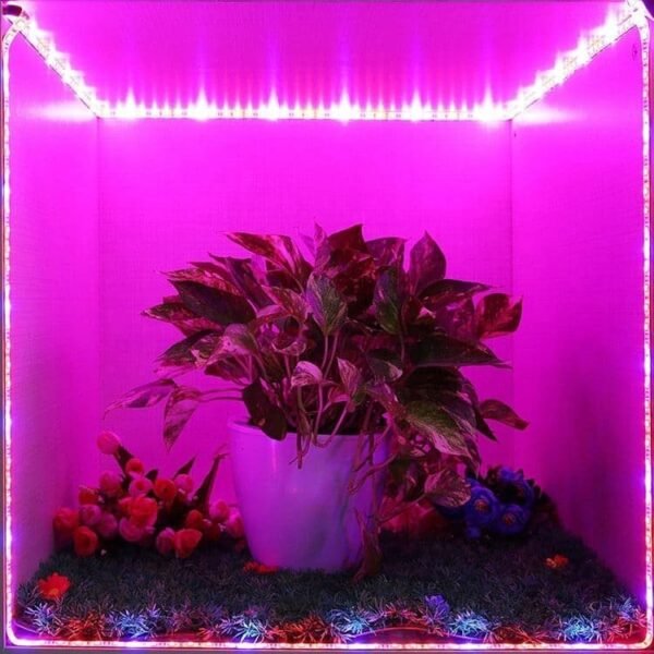 101269 1m Ταινία LED Grow Light Άνθησης & Ανάπτυξης Φυτών 6W/m 12VDC IP65 - Image 2